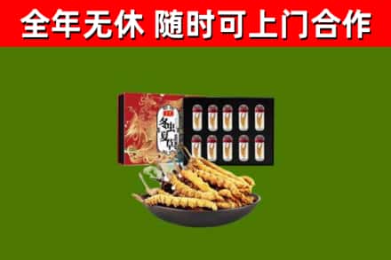 开原烟酒回收冬虫夏草礼盒.jpg